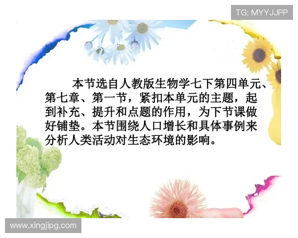 世界杯比利时伊朗比赛停赛情况最新动态及对比赛策略的影响分析 世界杯比利时伊朗比赛停赛情况最新动态及对比赛策略的影响分析